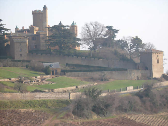 Château de Montmelas - Montmelas-Saint-Sorlin (69640) - Rhône