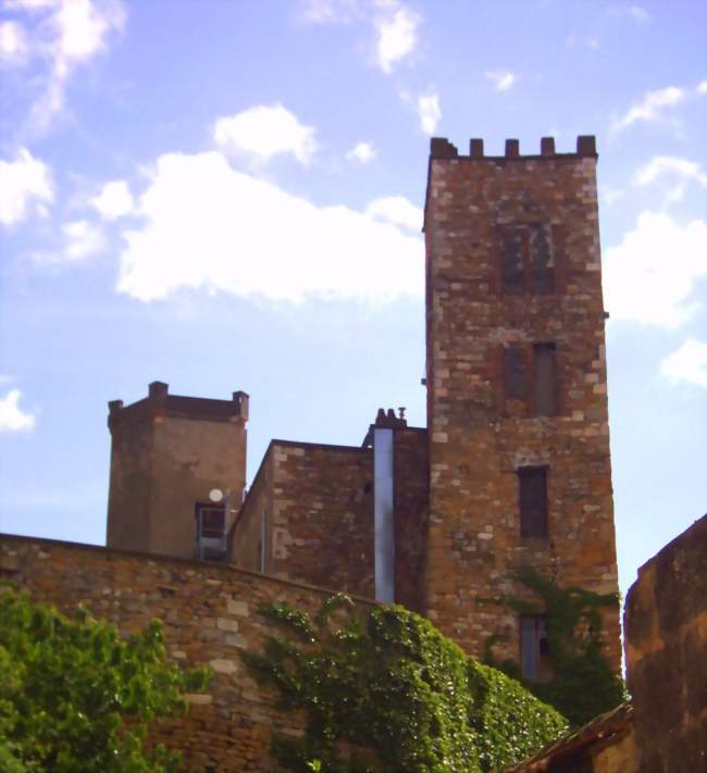 Les tours du vieux château de Vimy - Neuville-sur-Saône (69250) - Rhône