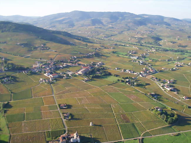 Vue du ciel - Quincié-en-Beaujolais (69430) - Rhône