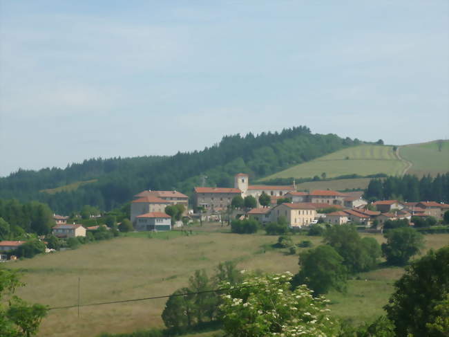 Vue du village des Sauvages - Les Sauvages (69170) - Rhône