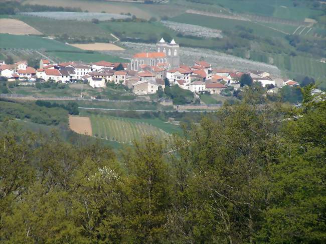 Le village de Saint-Didier-sous-Riverie au milieu des vergers - Saint-Didier-sous-Riverie (69440) - Rhône