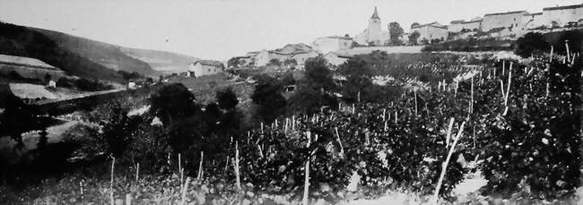 Vue d'ensemble entre 1901 et 1902 - Saint-Marcel-l'Éclairé (69170) - Rhône