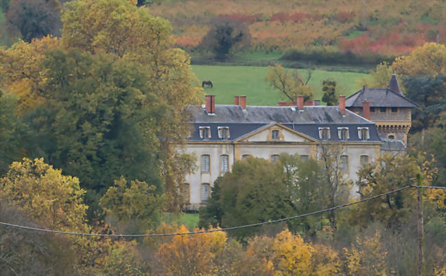 Le château d'Avauges à Saint-Romain-de-Popey - Saint-Romain-de-Popey (69490) - Rhône