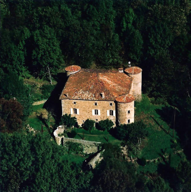 Vue aérienne sur le Château du Pin - Fabras (07380) - Ardèche