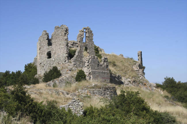 Les ruines du château de Pierregourde - Gilhac-et-Bruzac (07800) - Ardèche