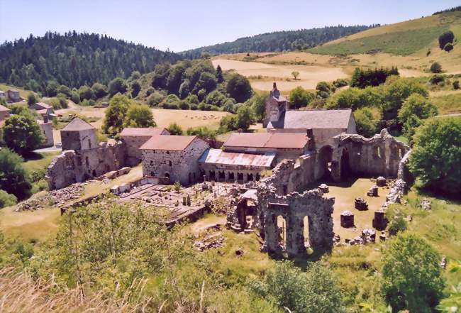 Vue d'ensemble des ruines de Mazan l'Abbaye - Mazan-l'Abbaye (07510) - Ardèche