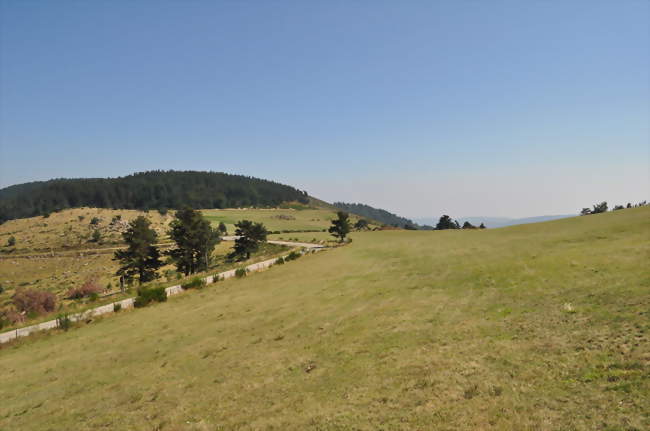 Le col de la Faye - Saint-Genest-Lachamp (07160 et 07190) - Ardèche