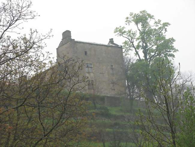 Le château de Chastanet à Valgorge - Valgorge (07110) - Ardèche