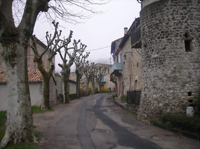 Rue du village longeant les anciennes fortifications - Valvignères (07400) - Ardèche