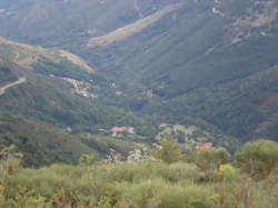 photo Astet