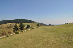 photo Saint-Genest-Lachamp