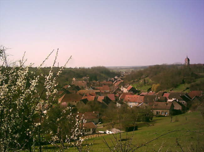 Bucey-lès-Gy au printemps - Bucey-lès-Gy (70700) - Haute-Saône