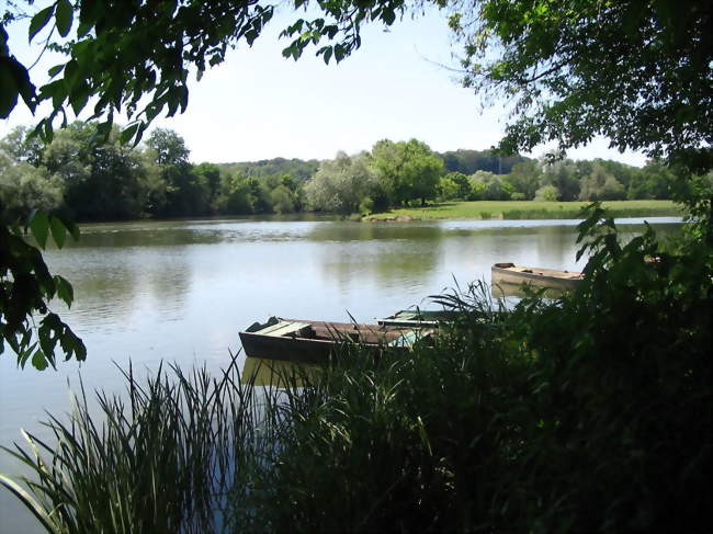 La Saône à Bucey-lès-Traves - Bucey-lès-Traves (70360) - Haute-Saône