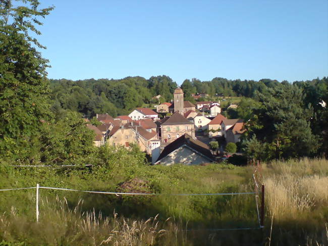 Vue du village de Clairegoutte, au milieu des arbres - Clairegoutte (70200) - Haute-Saône