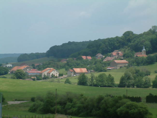 Vue globale du village en 2007 - Colombotte (70240) - Haute-Saône