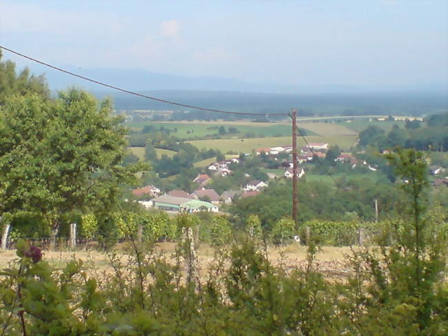 Dambenoît vu en partie depuis une butte qui le surplombe - Dambenoît-lès-Colombe (70200) - Haute-Saône