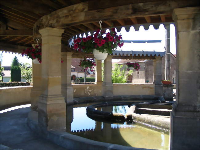 Fontaine Saint Martin - Ferrières-lès-Scey (70360) - Haute-Saône