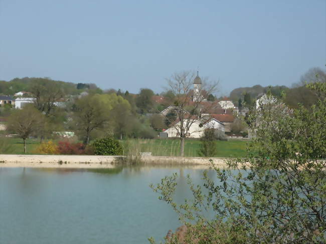 vue depuis l'étang - Gourgeon (70120) - Haute-Saône