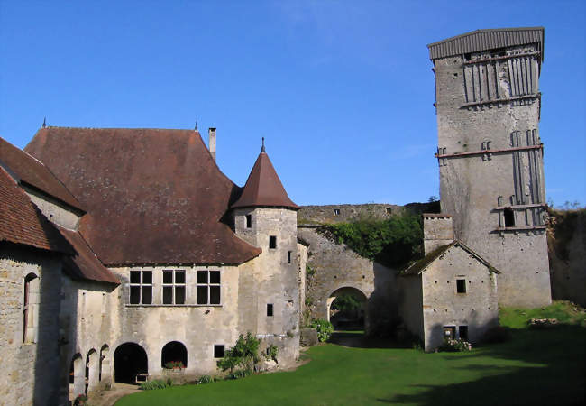 Haute-cour du château - Oricourt (70110) - Haute-Saône