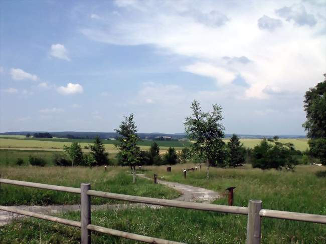 L'arboretum de Pusy-et-Épenoux - Pusy-et-Épenoux (70000) - Haute-Saône