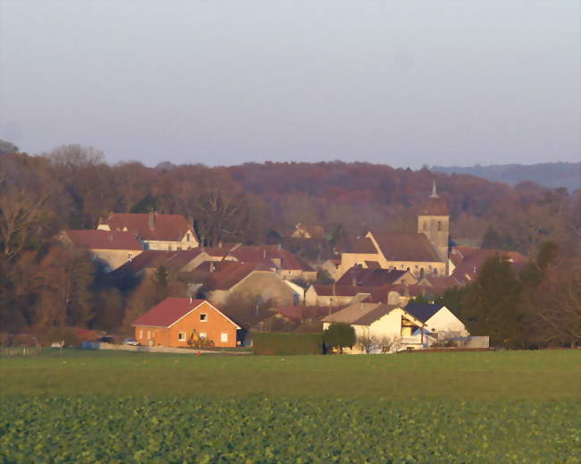 Le cur du village et son clocher comtois - Raze (70000) - Haute-Saône