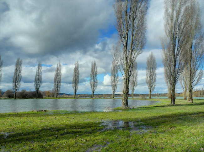 Le Lac de Vesoul - Vaivre - Vaivre-et-Montoille (70000) - Haute-Saône