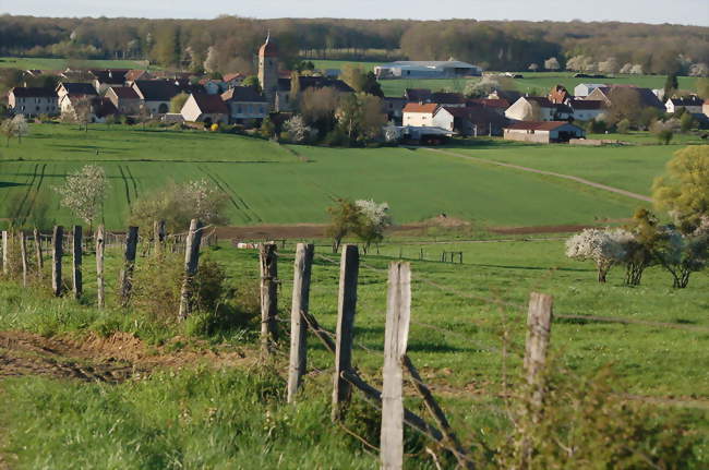Photographie prise depuis le sud de la commune - Varogne (70240) - Haute-Saône