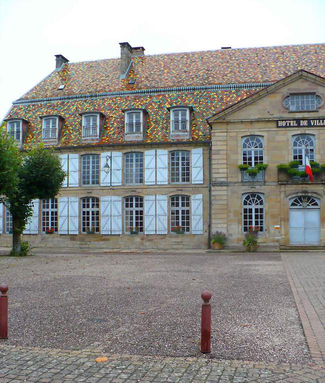 Château de Clermont-Tonnerre - Vauvillers (70210) - Haute-Saône