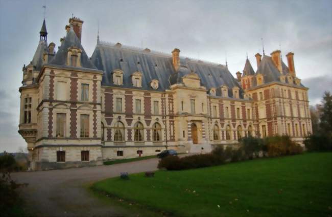 Auxiliaire de vie