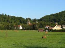 photo Ouvrier / Ouvrière de scierie