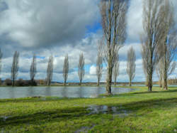 Promenade gourmande au Lac de Vaivre et Montoille