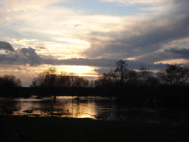 La prairie sous la crue depuis la route du Pont des chênes - Beaumont-sur-Grosne (71240) - Saône-et-Loire