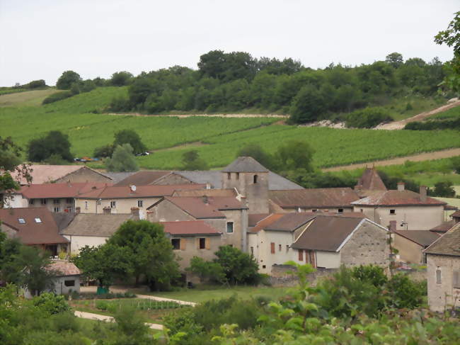 Bissy-la-Mâconnaise - Bissy-la-Mâconnaise (71260) - Saône-et-Loire