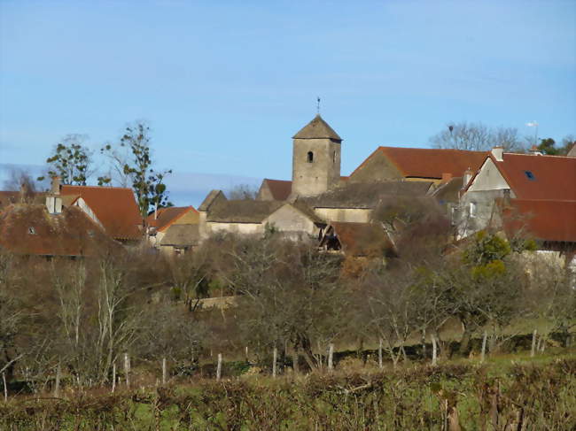 14ème journées biodiversité et patrimoine viticole : Le vin, la vigne, quelles classes...
