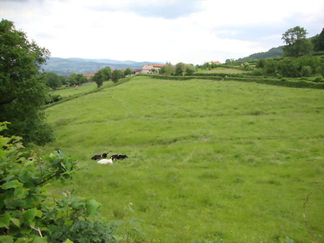 Paysage à Brandon avec vue sur le lieu-dit Les Cours - Brandon (71520) - Saône-et-Loire