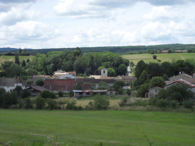 Chardonnay - Chardonnay (71700) - Saône-et-Loire