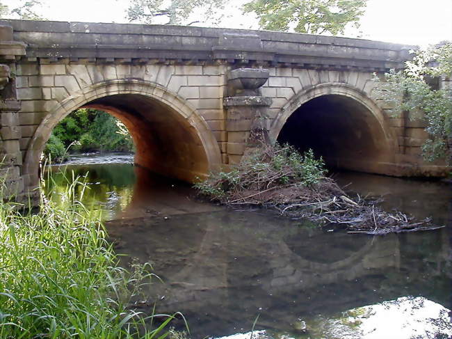 Pont de la Thalie conçu par Thomas Dumorey et réalisé par Émiland Gauthey - Châtenoy-le-Royal (71880) - Saône-et-Loire