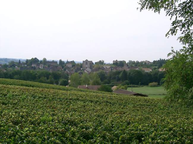 Cheilly-lès-Maranges et ses vignes - Cheilly-lès-Maranges (71150) - Saône-et-Loire