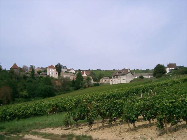 Dezize-lès-Maranges - Dezize-lès-Maranges (71150) - Saône-et-Loire