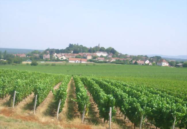 Vue d'une partie du village - Jully-lès-Buxy (71390) - Saône-et-Loire