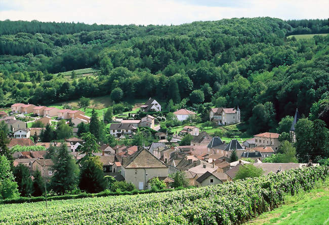 Le bourg de Lugny, vu de la colline de Saint Pierre - Lugny (71260) - Saône-et-Loire