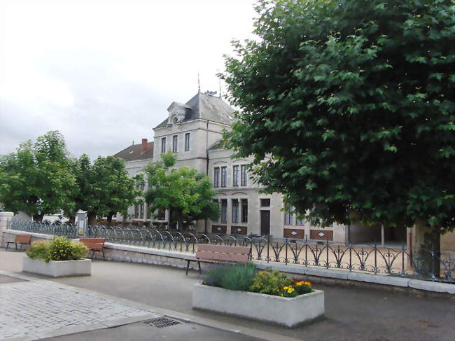 Sortie les arbres, du bocage à la forêt