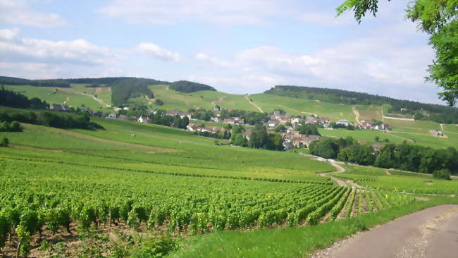 Vue d'une partie de Mercurey - Mercurey (71640) - Saône-et-Loire