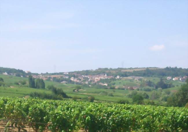 Vue d'une partie du village - Montagny-lès-Buxy (71390) - Saône-et-Loire