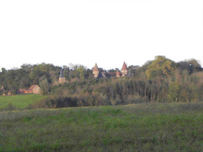 Le château de Montcony vue du Bois Cahuet - Montcony (71500) - Saône-et-Loire