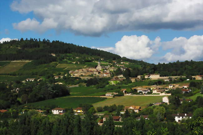 La Roche-Vineuse - La Roche-Vineuse (71960) - Saône-et-Loire