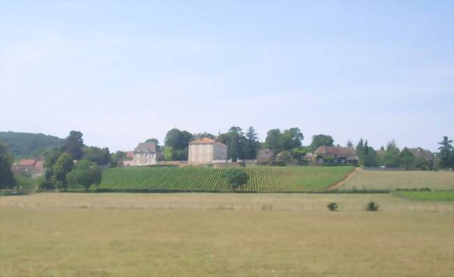 Vue d'une partie du village - Rosey (71390) - Saône-et-Loire