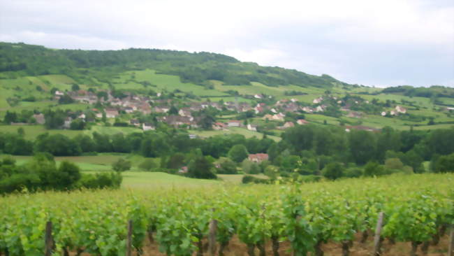 Vue du village - Saint-Denis-de-Vaux (71640) - Saône-et-Loire