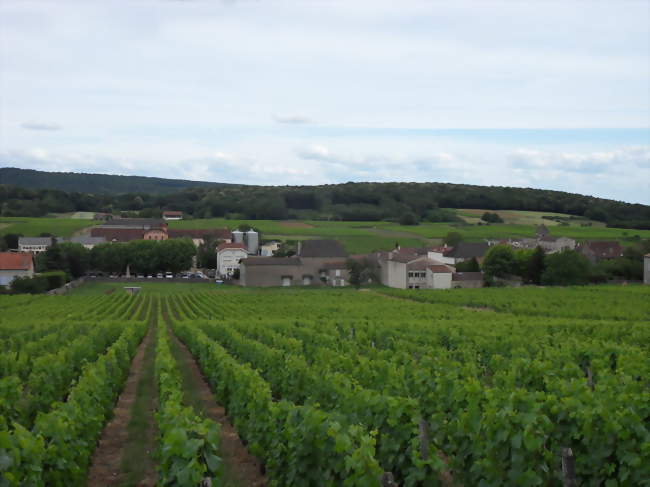 RANDONNEE PEDESTRE ENTRE MONTS ET VIGNES