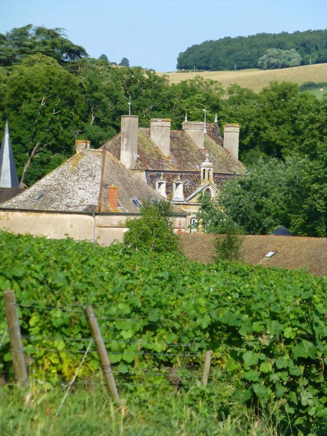 Le Château de Sassangy - Sassangy (71390) - Saône-et-Loire